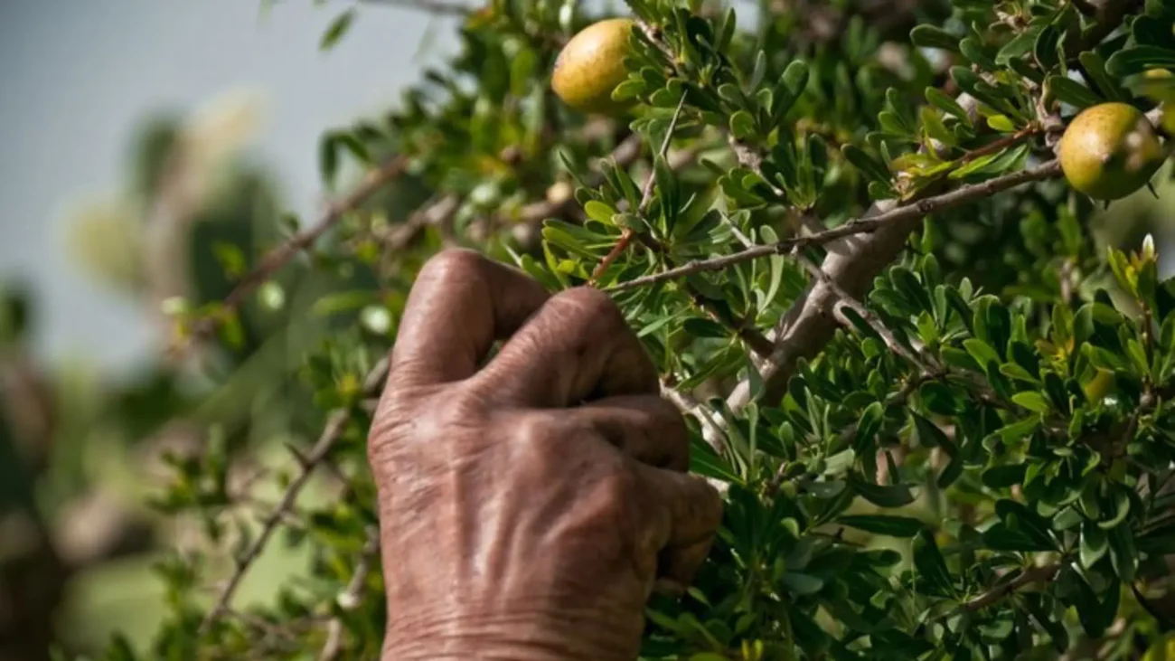 Pourquoi collaborer avec un laboratoire professionnel pour vos produits naturels ?