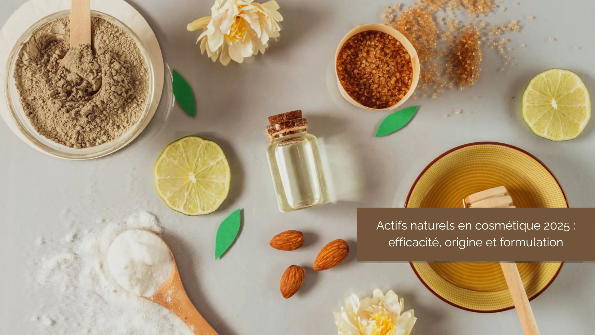 Bakuchiol, actif naturel en cosmétique 2025 pour peaux sensibles